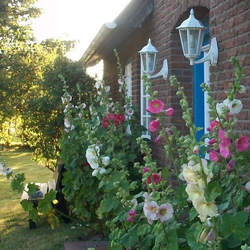 Haus-Wolfram-App-Wilhelmine Apartamento Morsum  Exterior foto